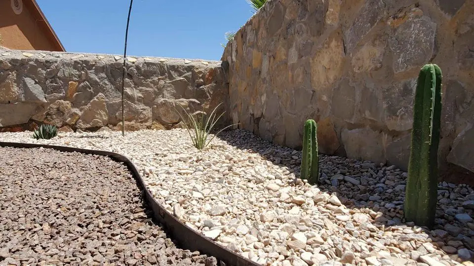 Desert landscaping in Buckeye, AZ, features a pathway lined with large, smooth white stones and bordered by lush green shrubs and plants. Tall grasses and bushes create a natural backdrop, while the pathway leads to a slightly raised stone platform surrounded by expertly installed Cactus Turf.
